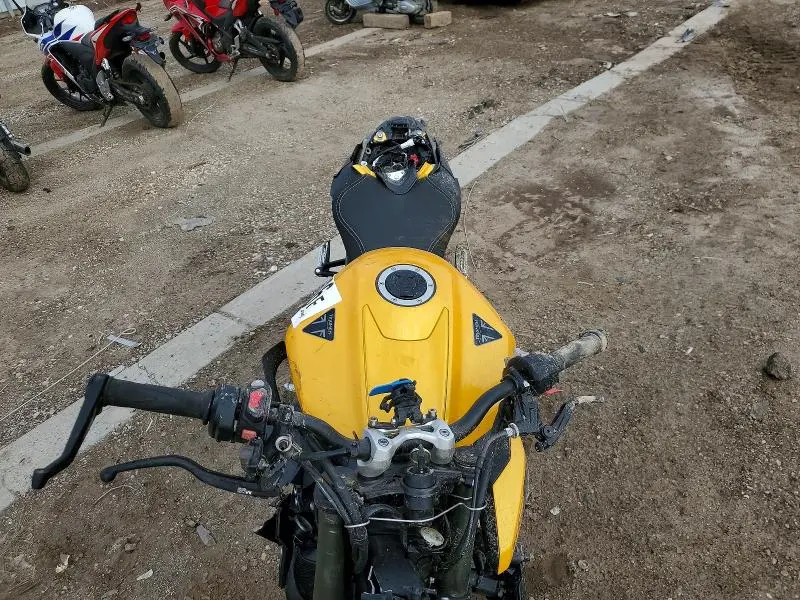 TRIUMPH STREET 2024