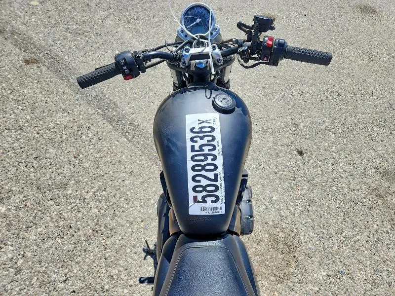 TRIUMPH STREET 2016