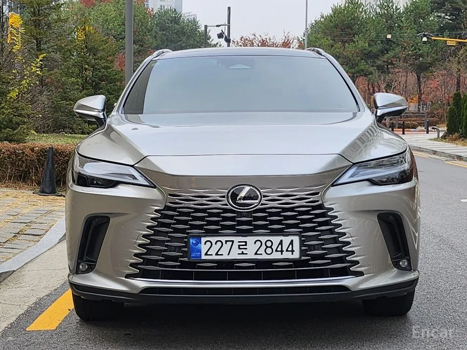 Lexus RX 2023 Luxury