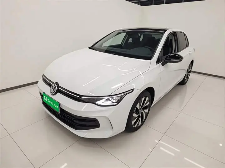 Volkswagen Golf 2025 2025款 改款 300TSI Pro
