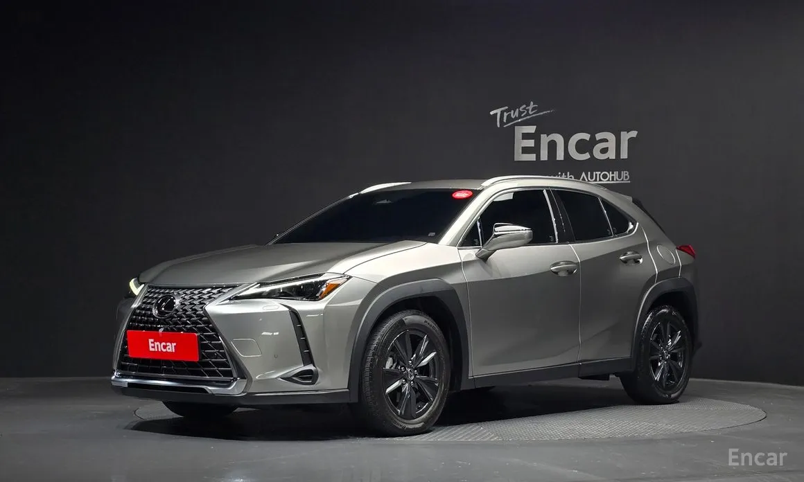 Lexus UX 2024 2.0 2WD