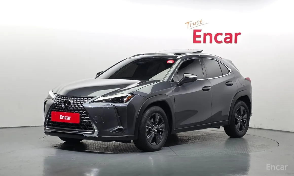 Lexus UX 2024 2.0 2WD