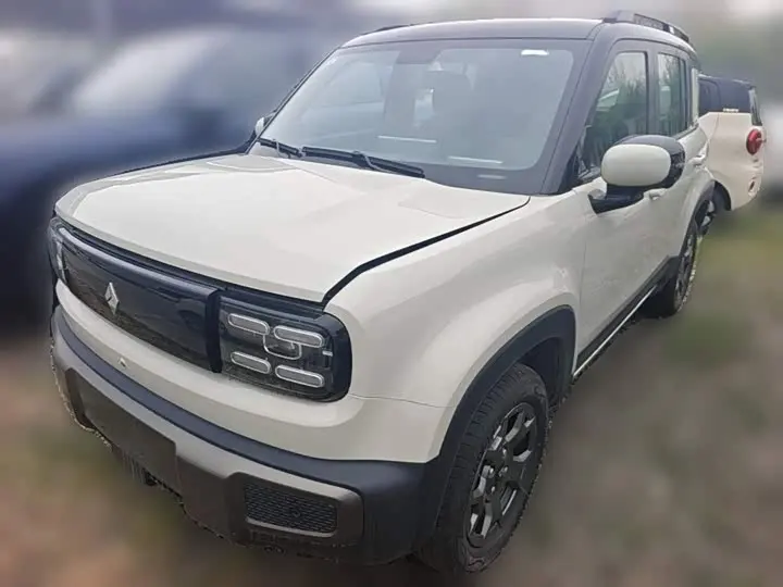 Baojun Yep Plus 2026 2026款 301km旗舰版