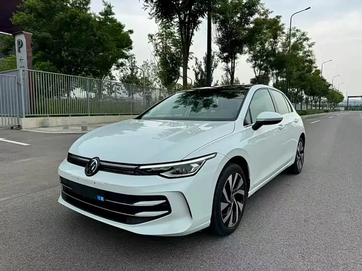 Volkswagen Golf 2025 2025款 300TSI Pro
