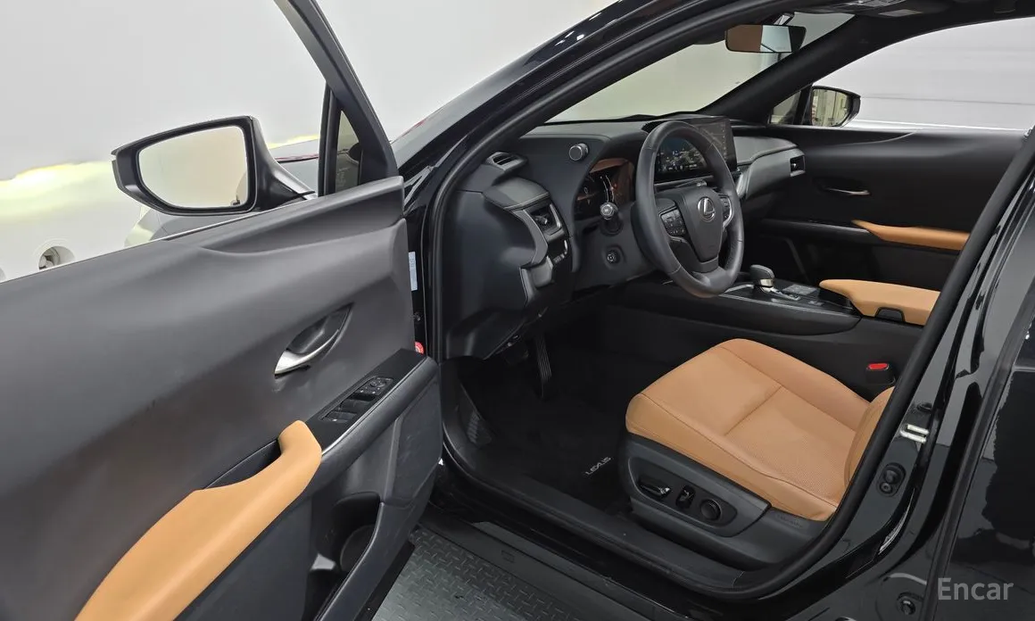Lexus UX 2024 2.0 2WD