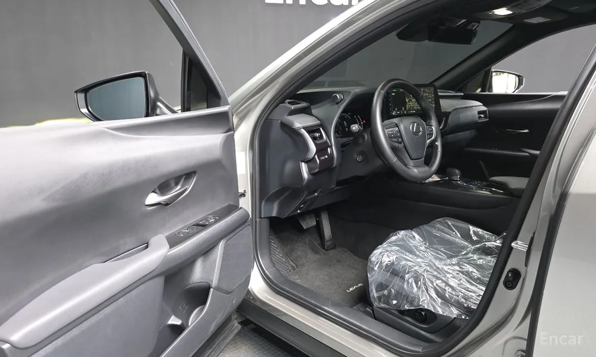 Lexus UX 2024 2.0 2WD