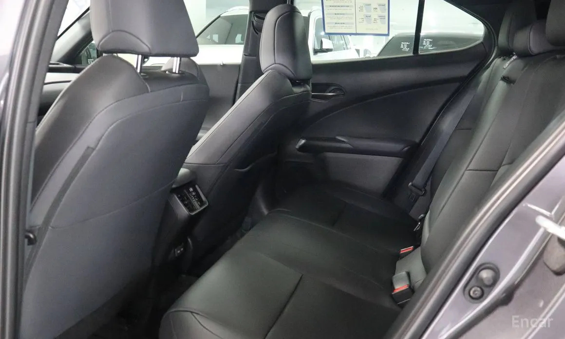 Lexus UX 2024 2.0 2WD