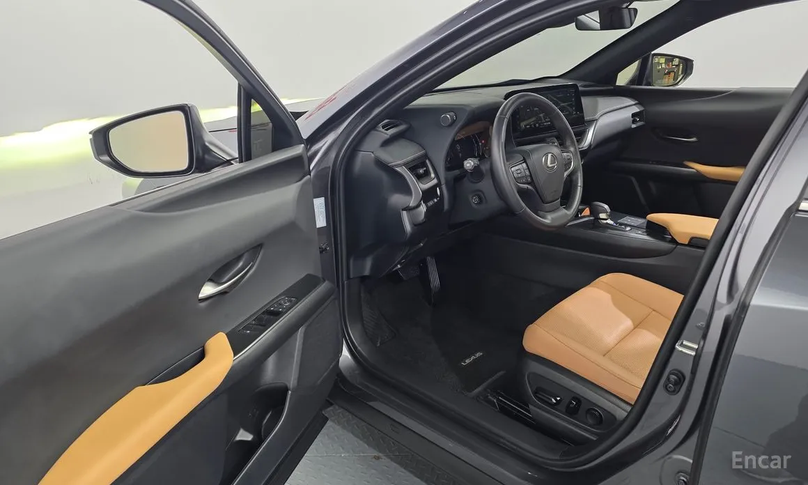 Lexus UX 2024 2.0 2WD
