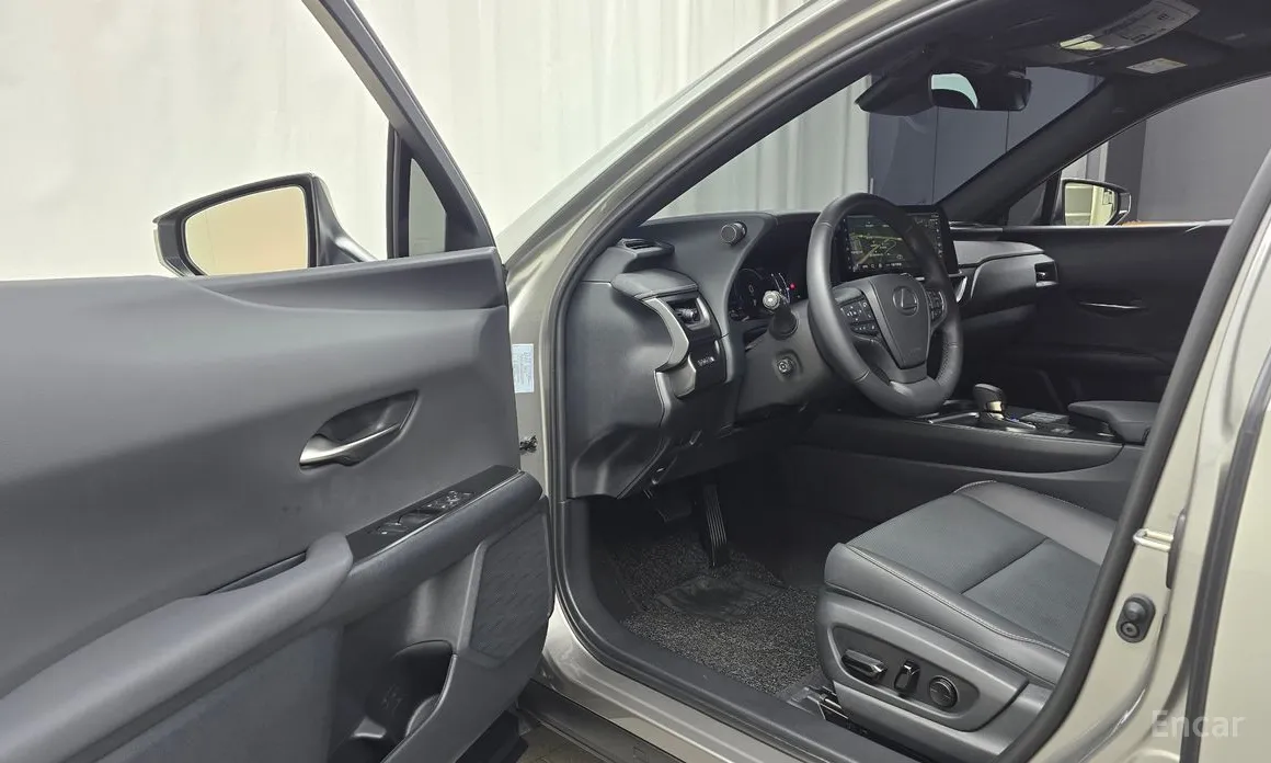 Lexus UX 2024 2.0 2WD