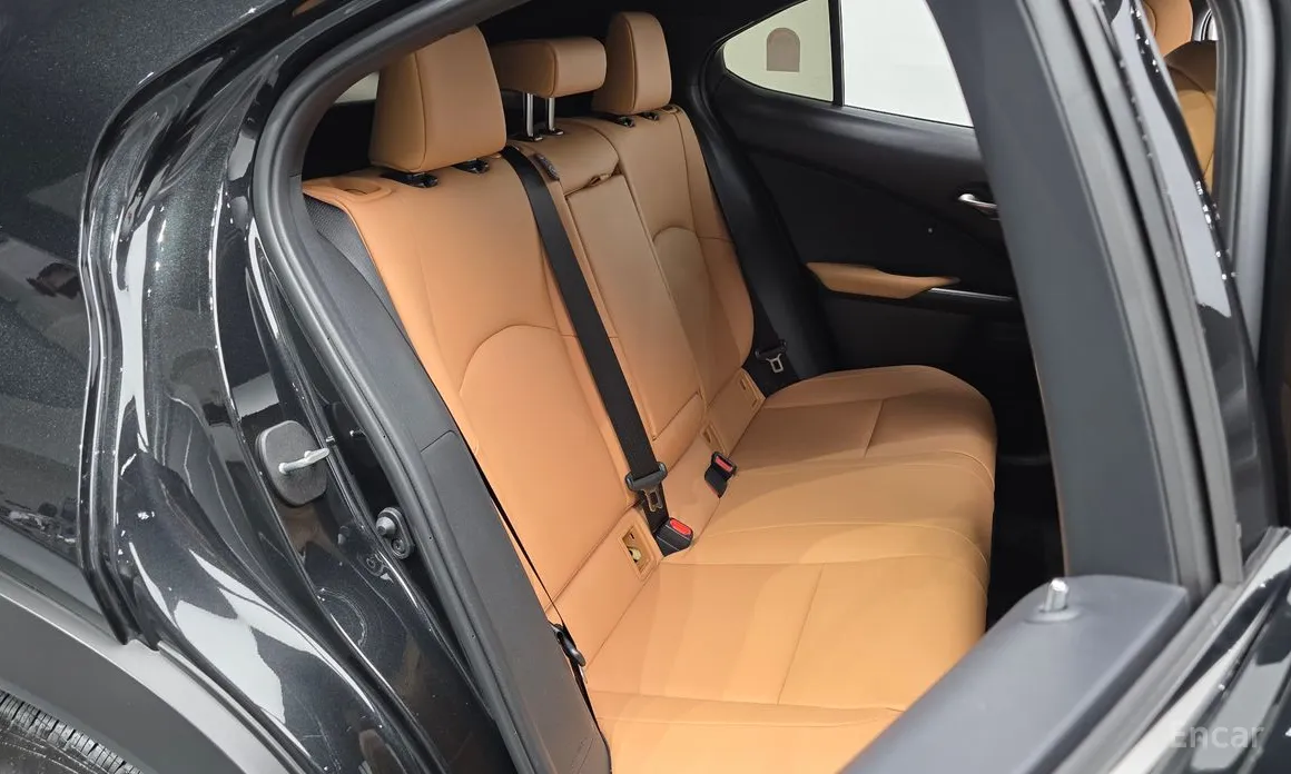 Lexus UX 2024 2.0 2WD