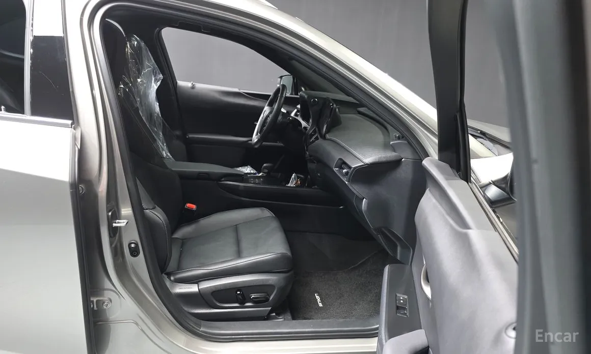Lexus UX 2024 2.0 2WD
