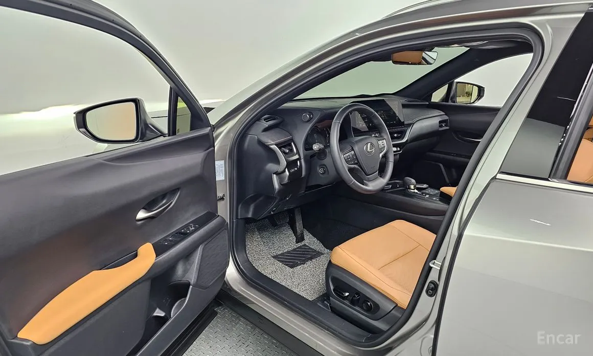 Lexus UX 2024 2.0 2WD