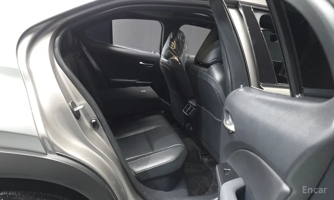 Lexus UX 2024 2.0 2WD