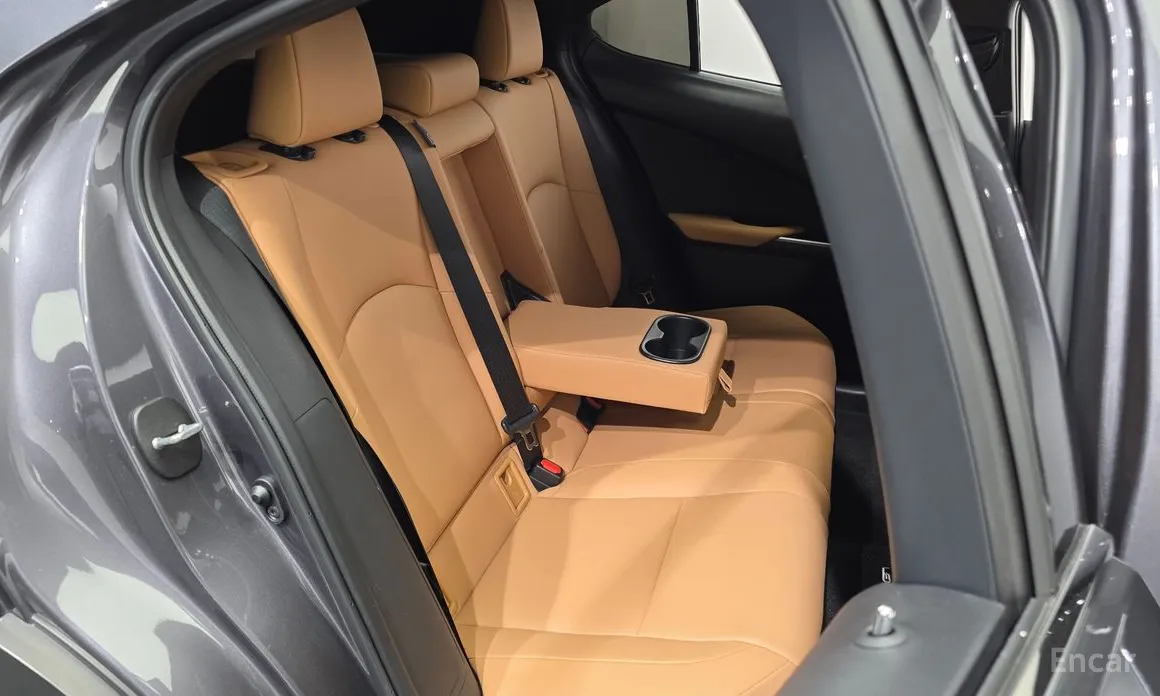 Lexus UX 2024 2.0 2WD