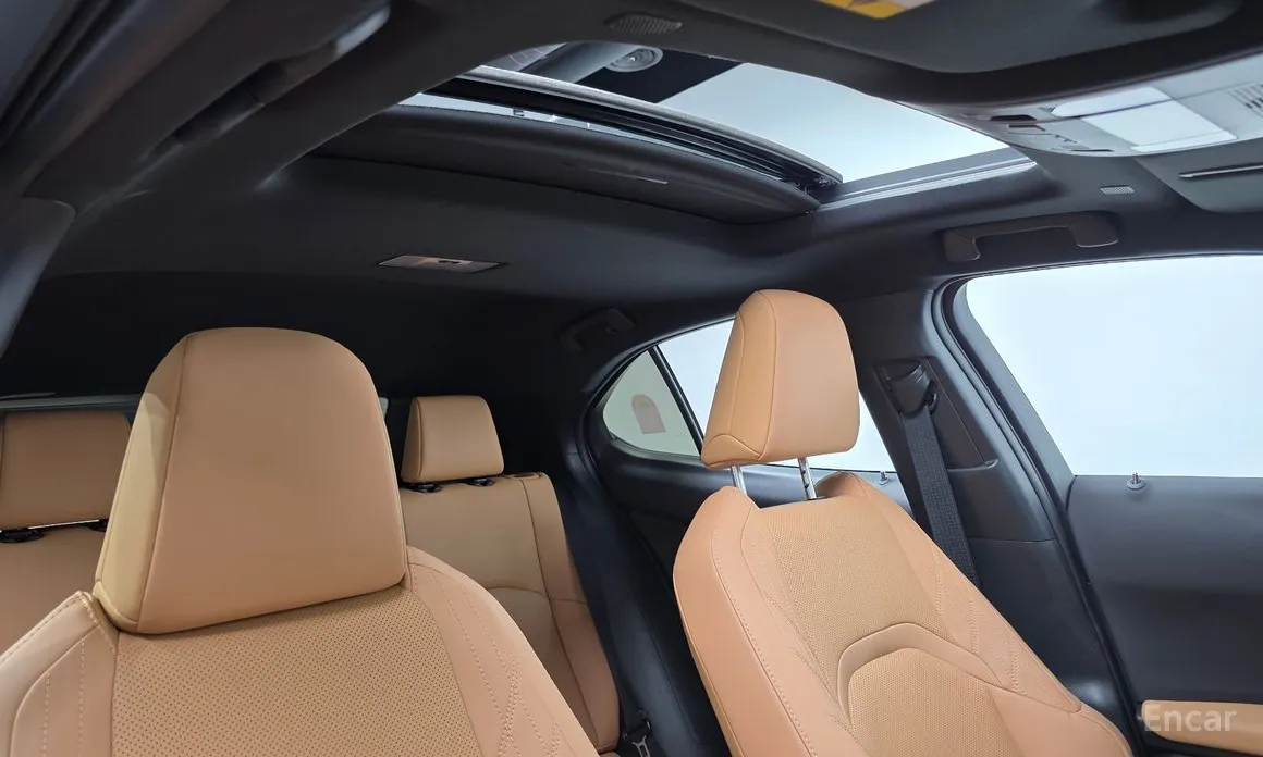 Lexus UX 2024 2.0 2WD