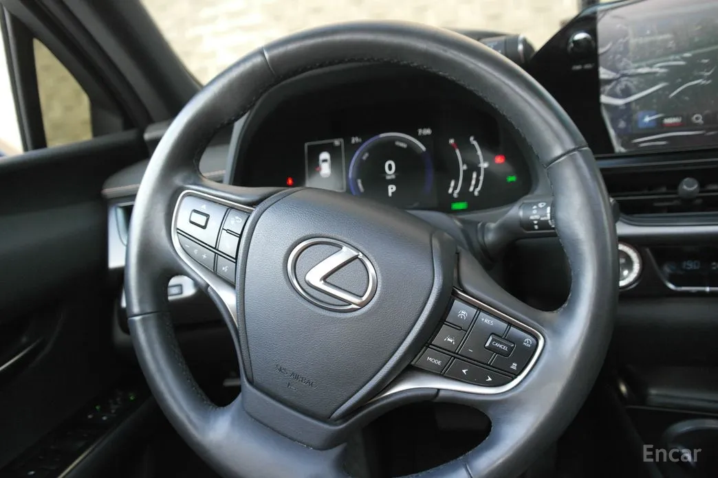 Lexus UX 2024 2.0 2WD