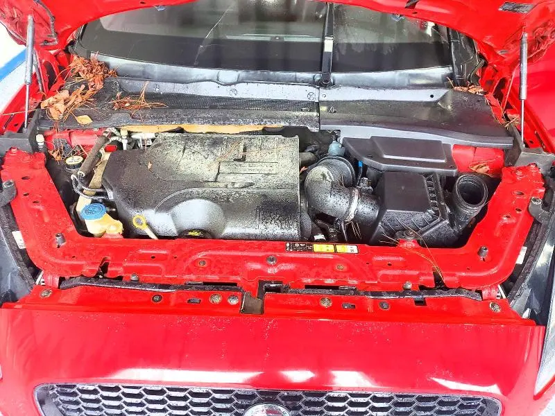 JAGUAR ETYPE 2019 VIN SADFP2FX4K1Z42687