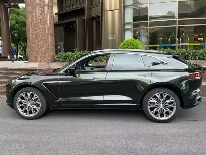 Aston Martin DBX 2023 2023款 4.0T V8
