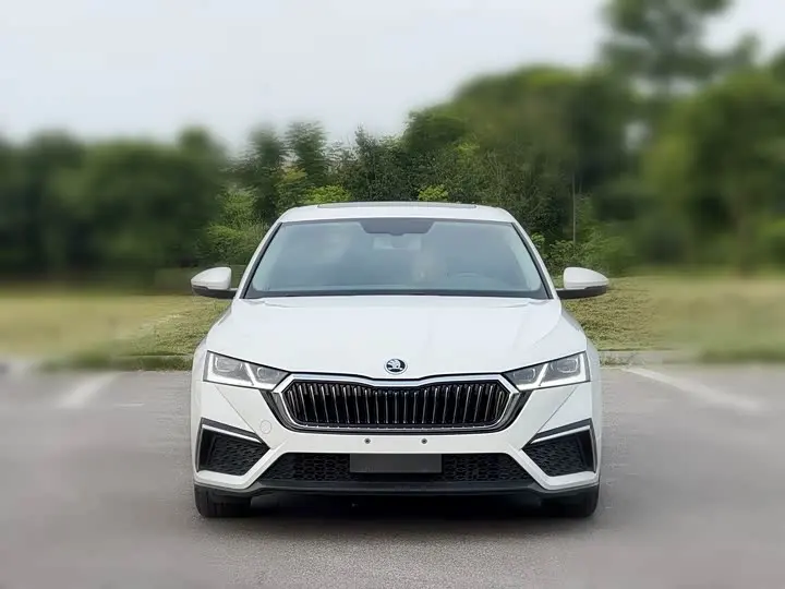 Skoda Octavia Pro 2023 2023款 改款 PRO TSI280 尊享版