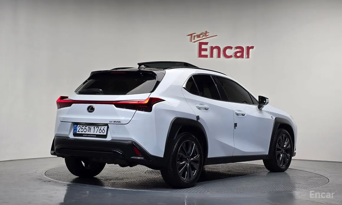 Lexus UX 2024 2.0 F-Sport 2WD