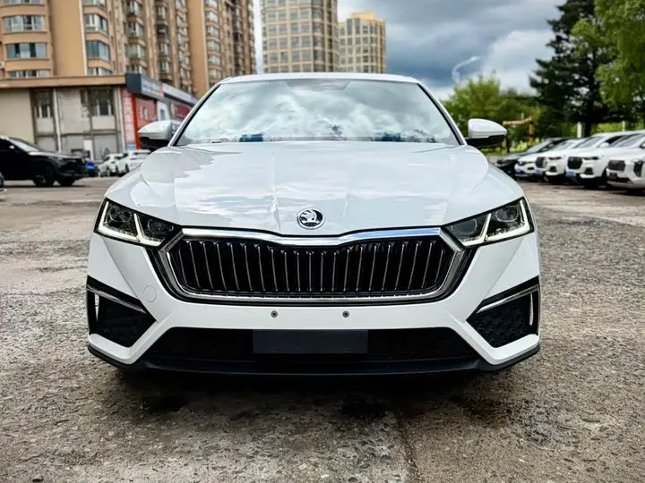 Skoda Octavia Pro 2023 2023款 改款 PRO TSI280 尊享版