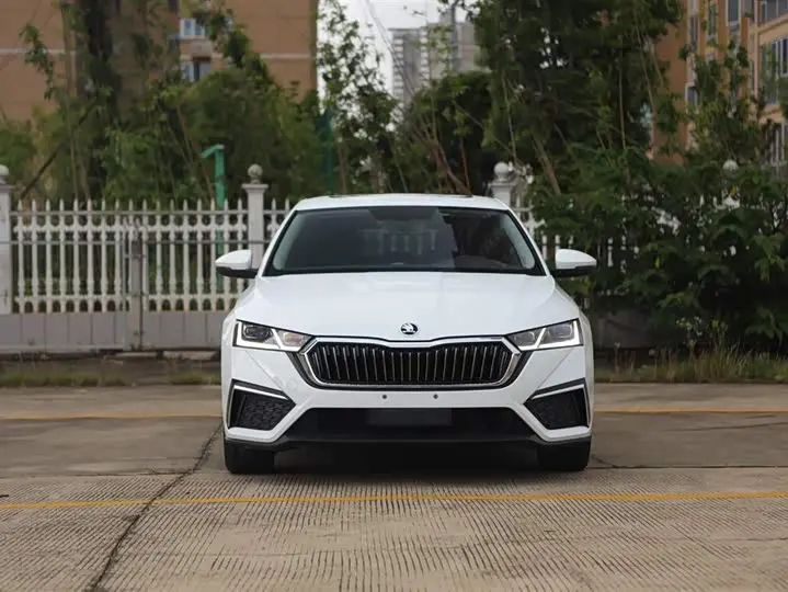 Фото 2 - Skoda Octavia Pro