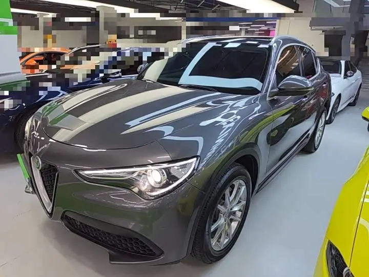 Alfa Romeo Stelvio 2020 2020款 2.0T 280HP 豪华版