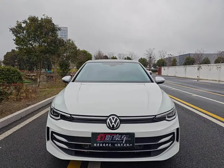 Volkswagen Golf 2026 2026款 300TSI Pro