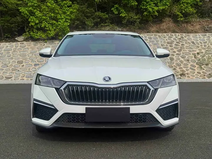 Skoda Octavia Pro 2023 2023款 改款 PRO TSI280 尊享版