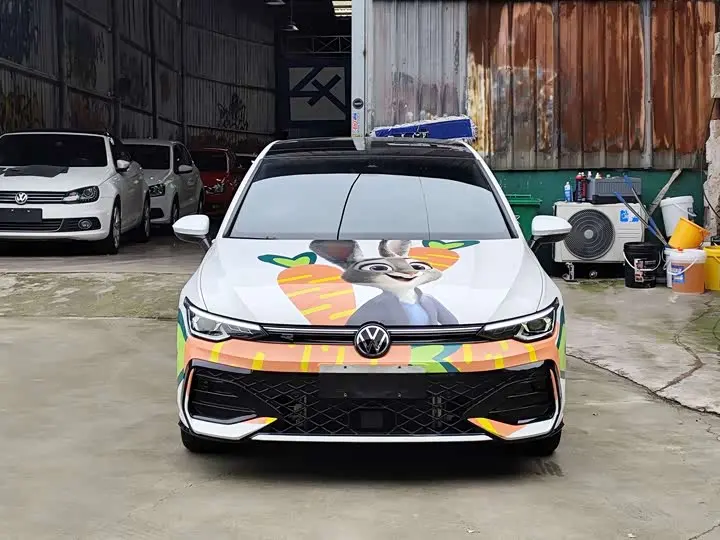Volkswagen Golf 2025 2025款 300TSI R-Line