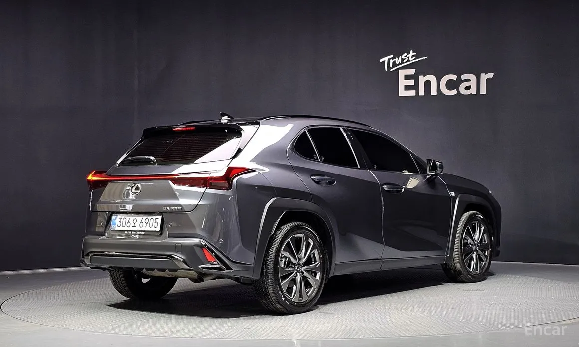 Lexus UX 2024 2.0 F-Sport 2WD
