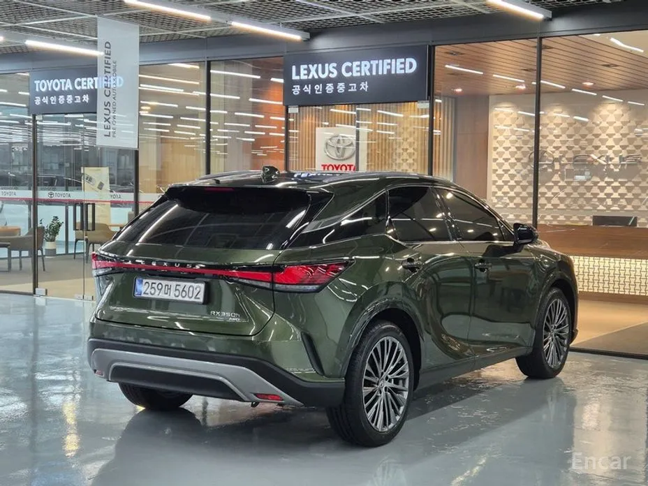 Lexus RX 2023 Luxury