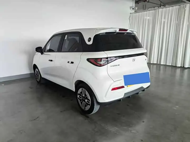Chery QQ Duomi 2025 2025款 305km 舒享型