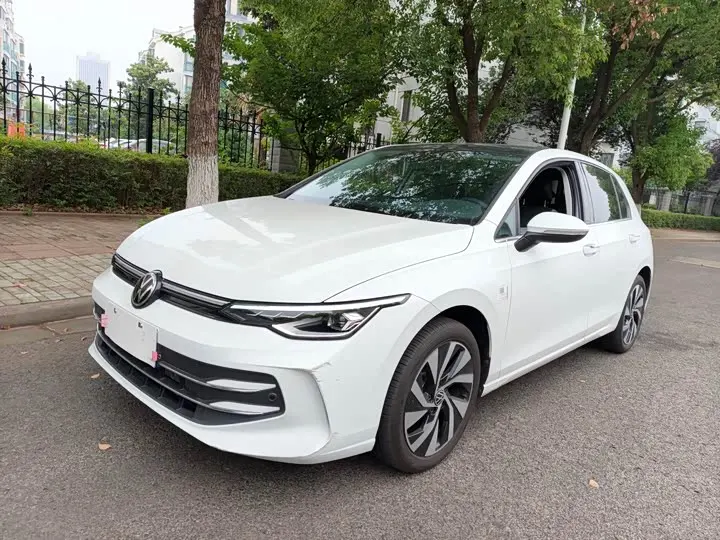 Volkswagen Golf 2025 2025款 300TSI Pro