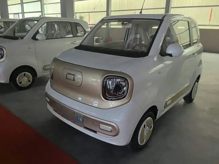 Bestune Pony 2026 2026款 222km 炫彩马