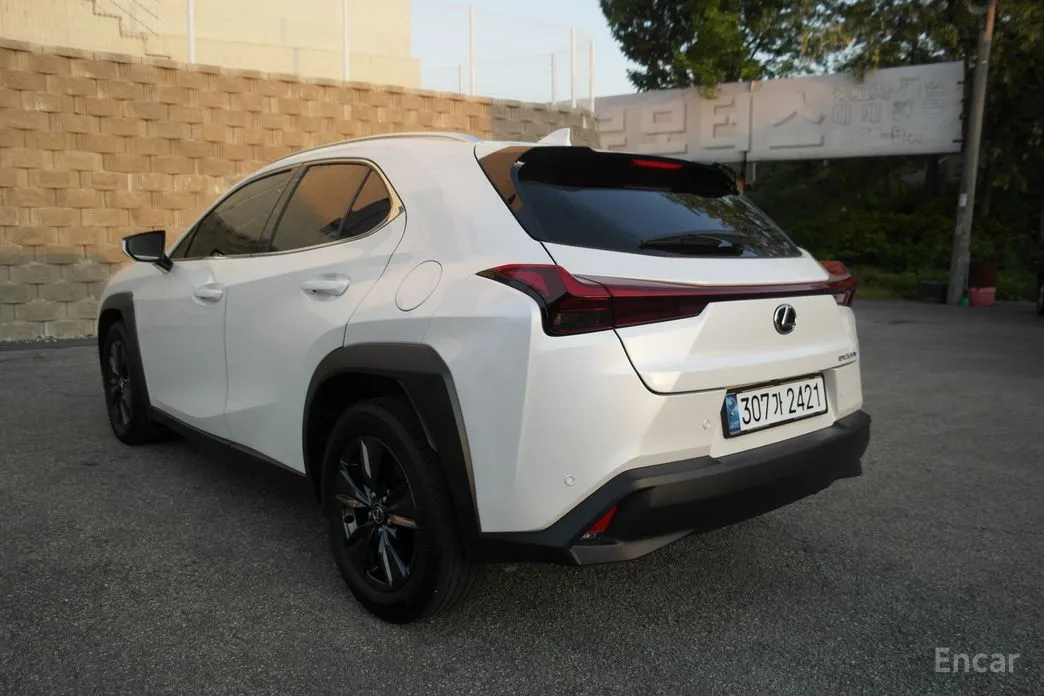 Lexus UX 2024 2.0 2WD
