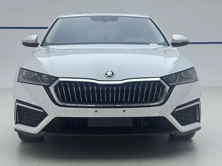Skoda Octavia Pro 2023 2023款 改款 PRO TSI280 尊享版