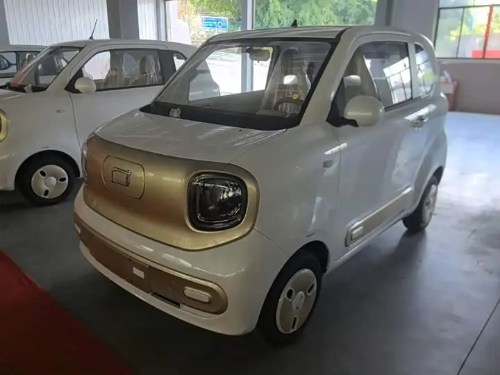 Bestune Pony 2026 2026款 222km 炫彩马
