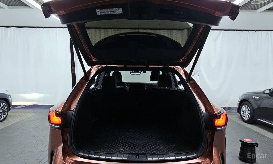 Lexus RX 2023 Luxury