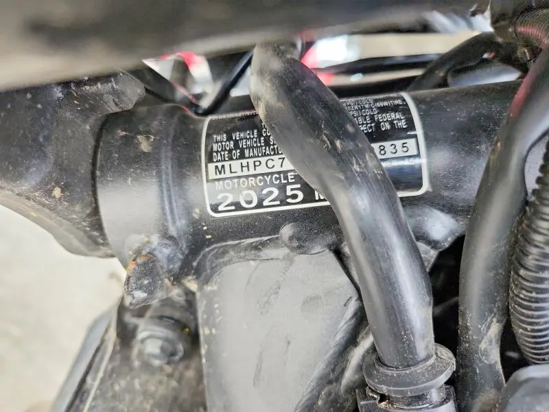 HONDA CB CYCLE 2025