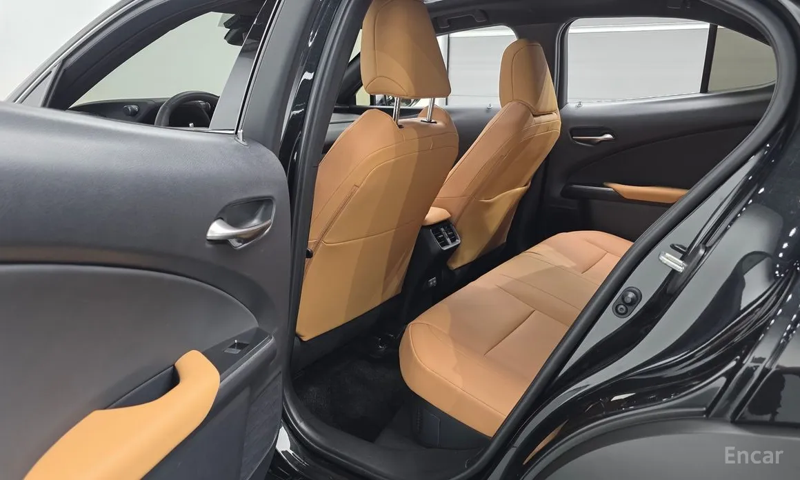 Lexus UX 2024 2.0 2WD