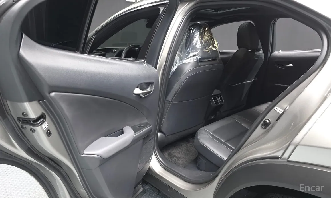 Lexus UX 2024 2.0 2WD