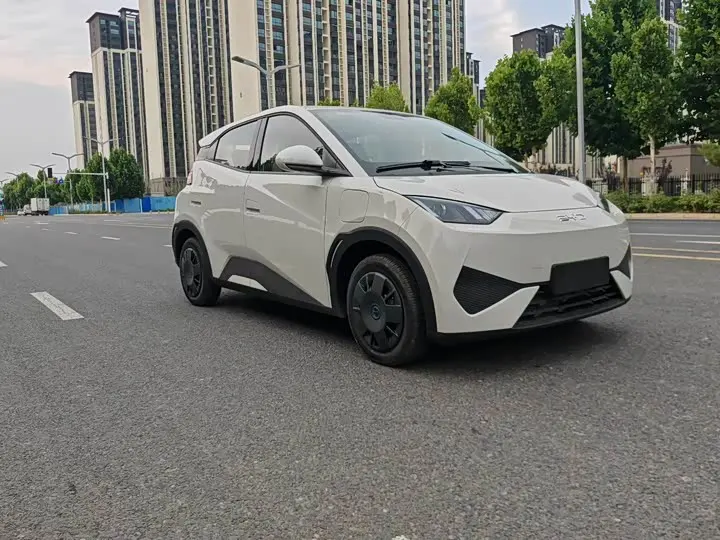 BYD Seagull 2026 2026款 305km 活力版