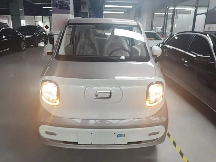 Bestune Pony 2026 2026款 222km 炫彩马