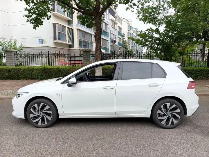 Volkswagen Golf 2025 2025款 300TSI Pro