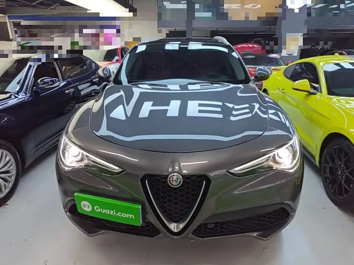 Alfa Romeo Stelvio 2020 2020款 2.0T 280HP 豪华版