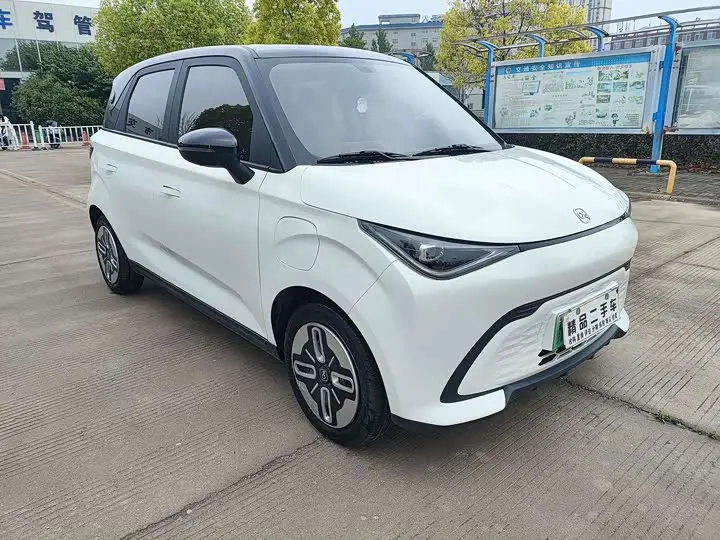 Chery QQ Duomi 2025 2025款 305km 舒享型