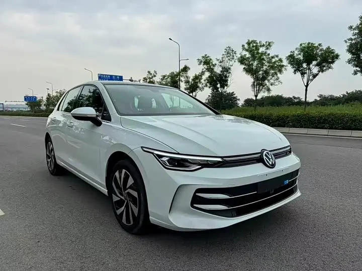 Volkswagen Golf 2025 2025款 300TSI Pro