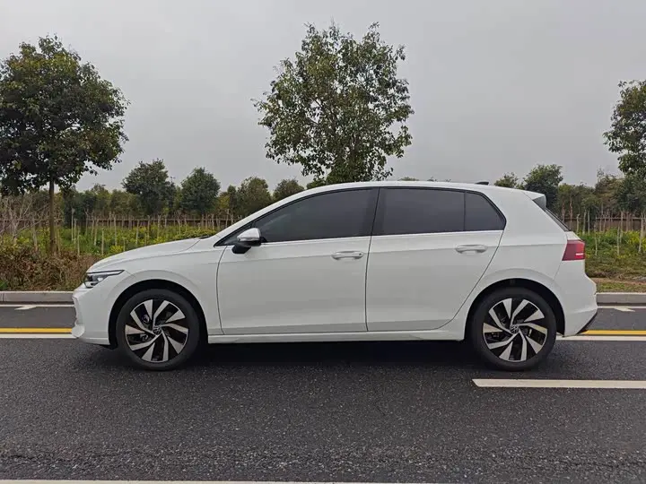 Volkswagen Golf 2026 2026款 300TSI Pro
