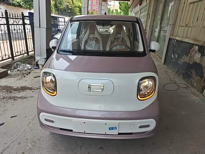 Bestune Pony 2026 2026款 222km 炫彩马
